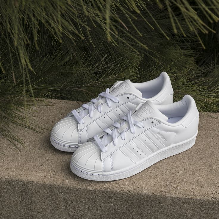 Superstar Full White