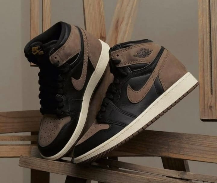 Jordan Hi Palomino