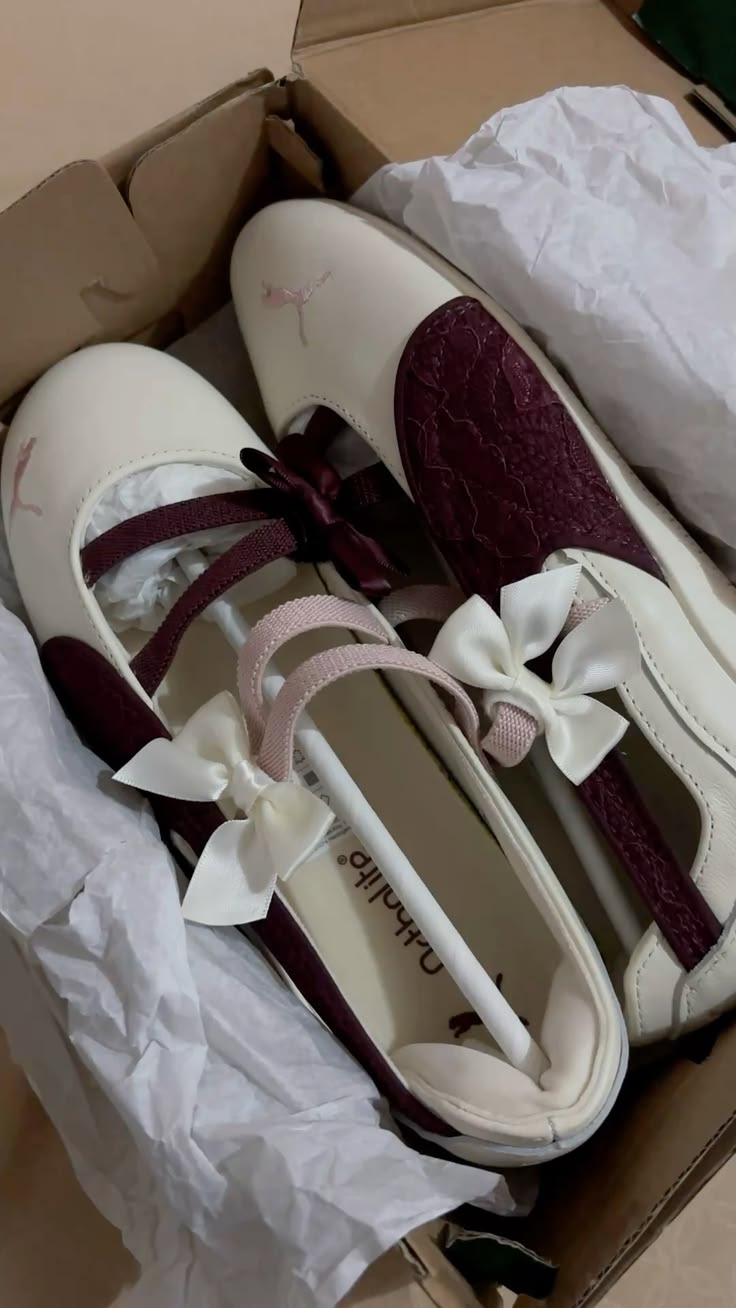 Ballet Maroon Lace Beige
