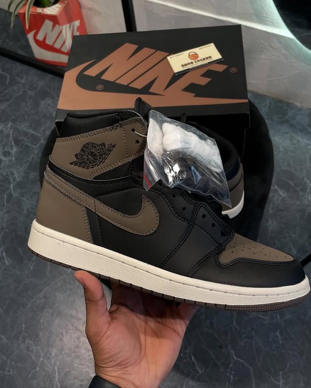 Jordan Hi Palomino